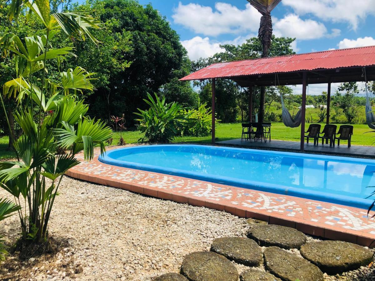 Hotel Cocodrilo Sierpe 外观 照片
