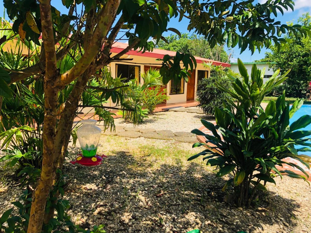 Hotel Cocodrilo Sierpe 外观 照片