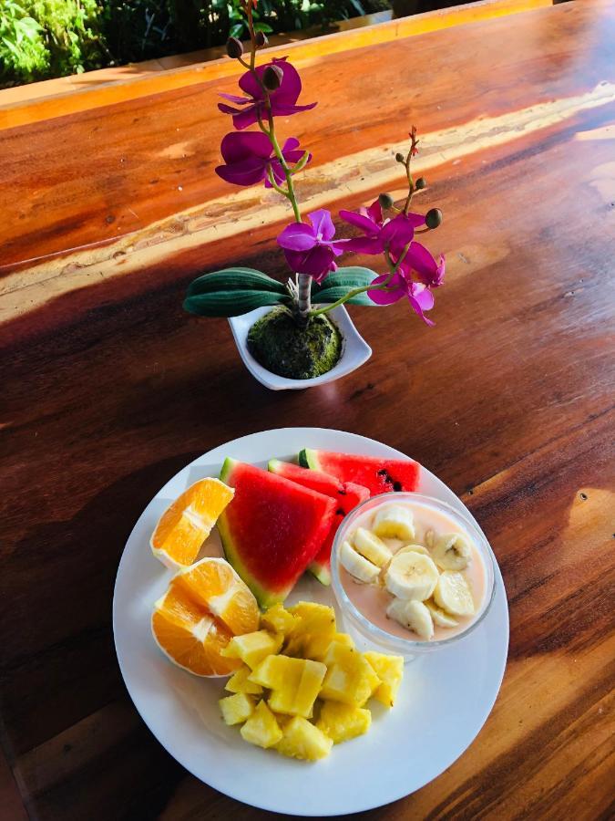 Hotel Cocodrilo Sierpe 外观 照片